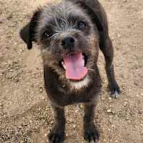 Thumbnail photo of Sasha #2