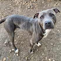 Thumbnail photo of Zoe #2