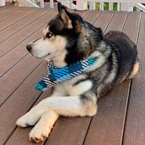 Thumbnail photo of Chance #3