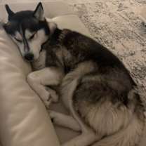 Thumbnail photo of Chance #4