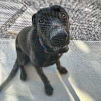 Thumbnail photo of Luke #3