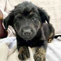 Thumbnail photo of CRASH #3