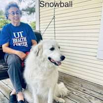 Thumbnail photo of Snow White Lonestar* #4