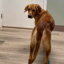 Thumbnail photo of Ella Belle #7498 #4