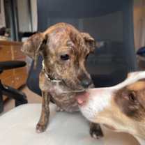 Thumbnail photo of Baby Breanna #2