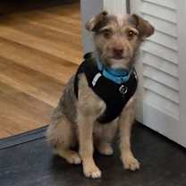 Thumbnail photo of Spud #2