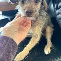 Thumbnail photo of Spud #3