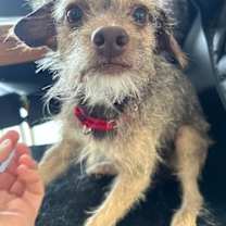 Thumbnail photo of Spud #4