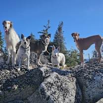 Thumbnail photo of Texas Tornado #2