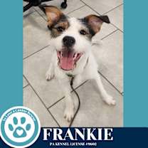 Thumbnail photo of Frankie (The Soda Pops) 022225 #2