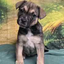 Thumbnail photo of Faith #1