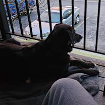 Thumbnail photo of Arrow #4