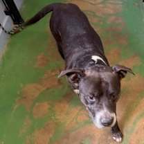 Thumbnail photo of Tippy 25 #2