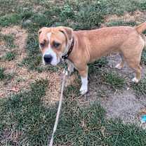 Thumbnail photo of Jace #4