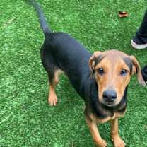 Thumbnail photo of Scout #2