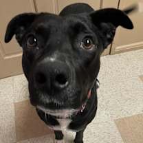 Thumbnail photo of Jack #3