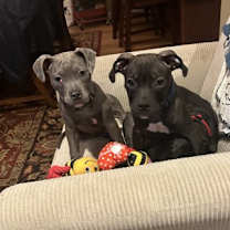 Thumbnail photo of Babe Ruth #2