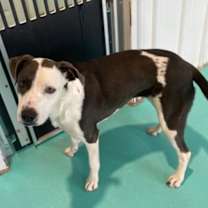 Thumbnail photo of Lisa Marie #3