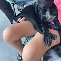 Thumbnail photo of Fiona #1