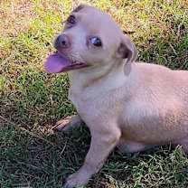 Thumbnail photo of Sabrina 2 #2