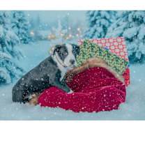 Thumbnail photo of Captain Crunch #1