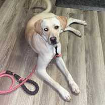 Thumbnail photo of Cindy #1