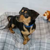 Thumbnail photo of Bourbon #2