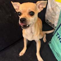 Thumbnail photo of Jam (California) ns #2