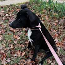 Thumbnail photo of Dory #4