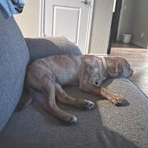 Thumbnail photo of Coco WT #2