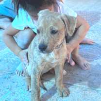 Thumbnail photo of Coco WT #3