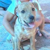 Thumbnail photo of Coco WT #4