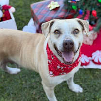 Thumbnail photo of Happy #1