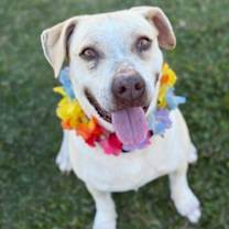 Thumbnail photo of Happy #2