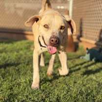 Thumbnail photo of Happy #3