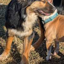 Thumbnail photo of HAPPY #3