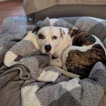 Thumbnail photo of Lola #2