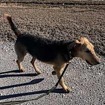 Thumbnail photo of River #1