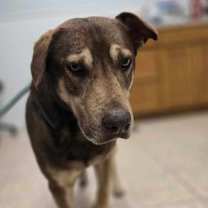 Thumbnail photo of BECKETT #2