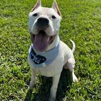 Thumbnail photo of Kingston #2