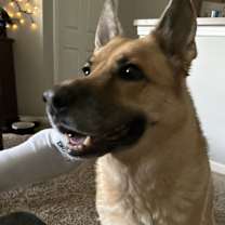 Thumbnail photo of Kluse #1