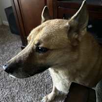 Thumbnail photo of Kluse #3