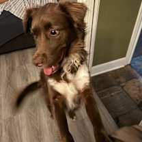 Thumbnail photo of Milkyway aka Zeke CS #4