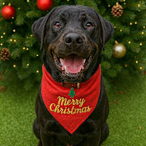 Thumbnail photo of Detective #1