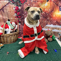 Thumbnail photo of Evan #3