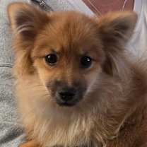 Thumbnail photo of Thorsten #4