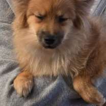 Thumbnail photo of Thorsten #3