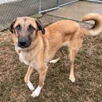 Thumbnail photo of Jam Jam James #1