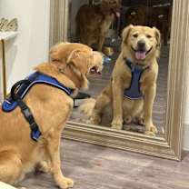 Thumbnail photo of Buddy #3