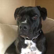 Thumbnail photo of Mac #1